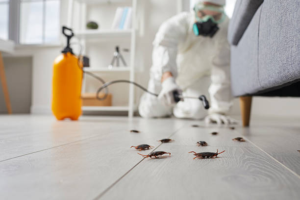 Commercial Kitchen Cockroach Control in Daniel